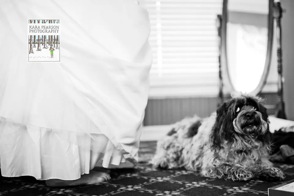 bride-with-dog