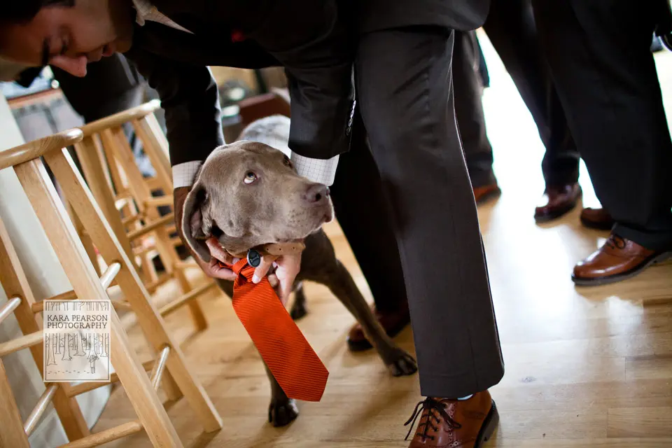 crested-butte-wedding