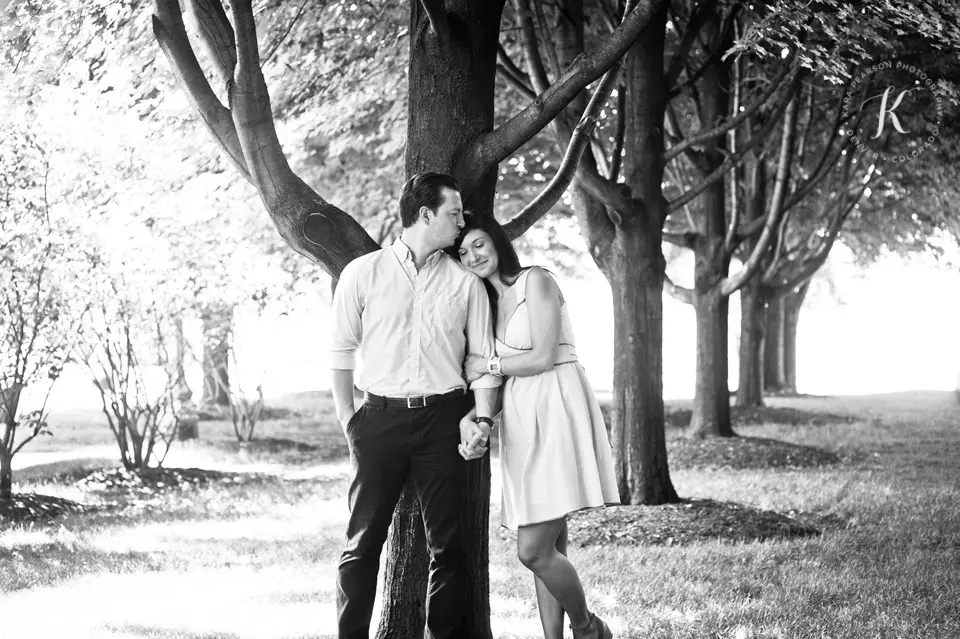 millenium_park_engagement