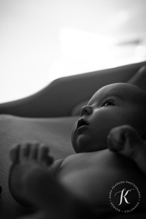 baby_portraits_denver