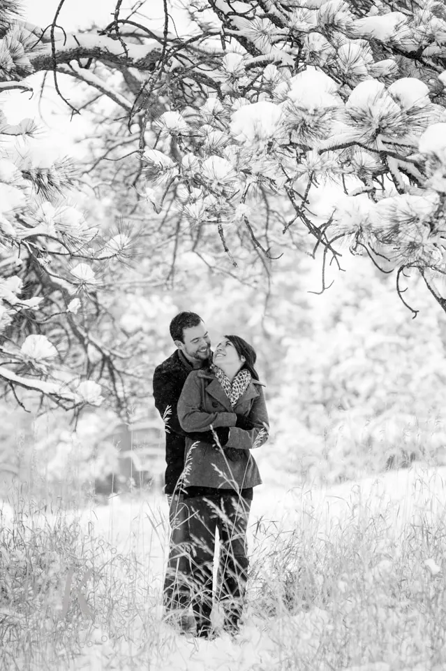 snowy black and white photos