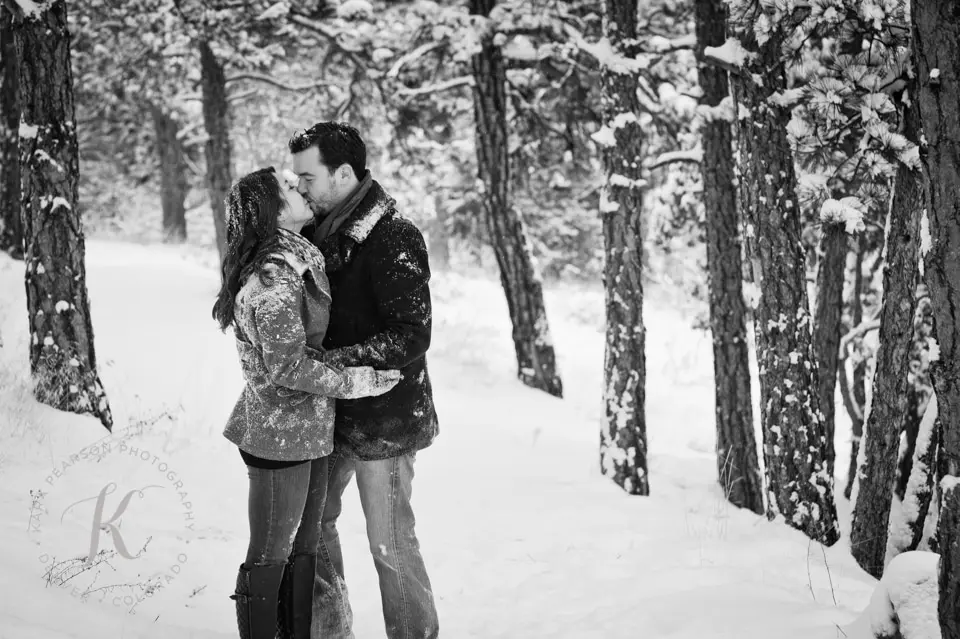 mt falcon engagement