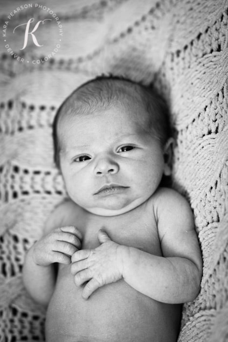 denver_newborn_photographer