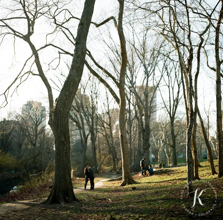 central_park_engagement