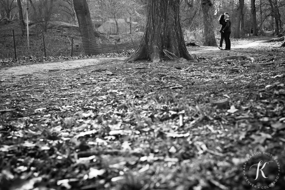 engagement_in_central_park