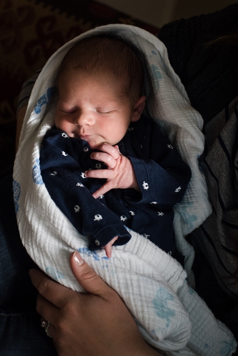 newborn portraits in denver