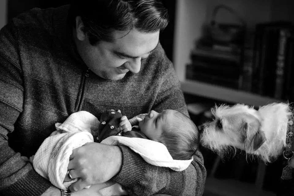 dog with newborn portraits denver