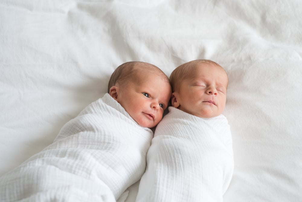 twin baby portraits in Denver
