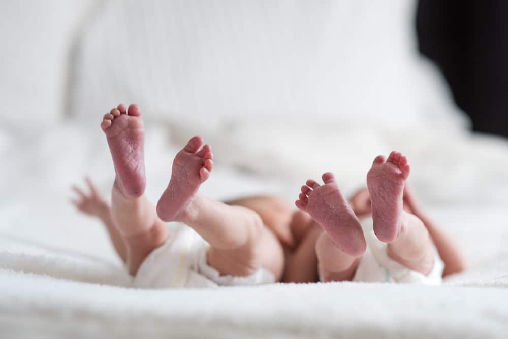 baby feet portraits