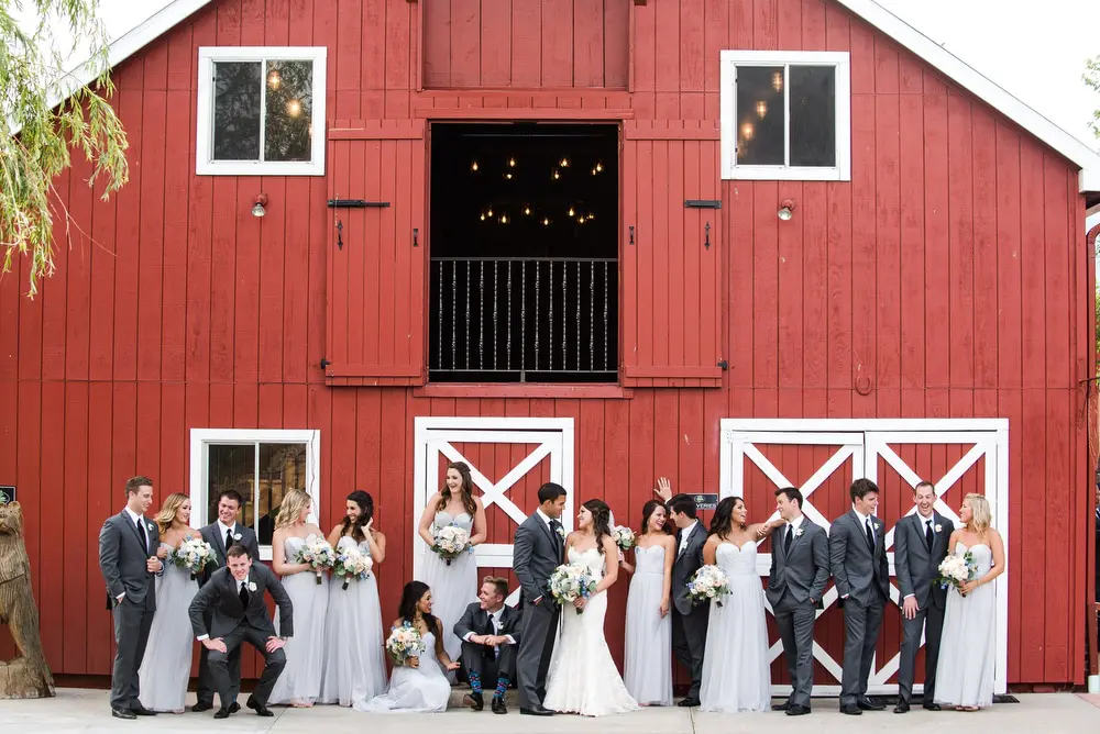 wedding party portrait