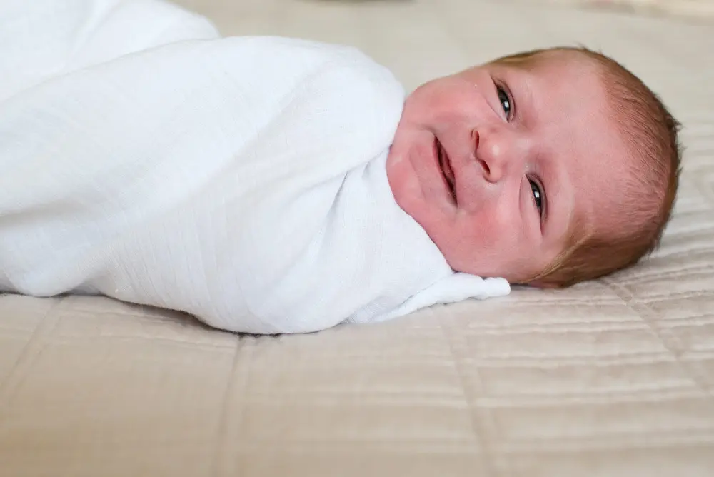 denver newborn portraits
