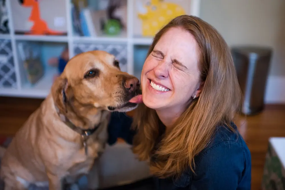 denver dog portrait