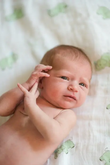 newborn portraits highlands