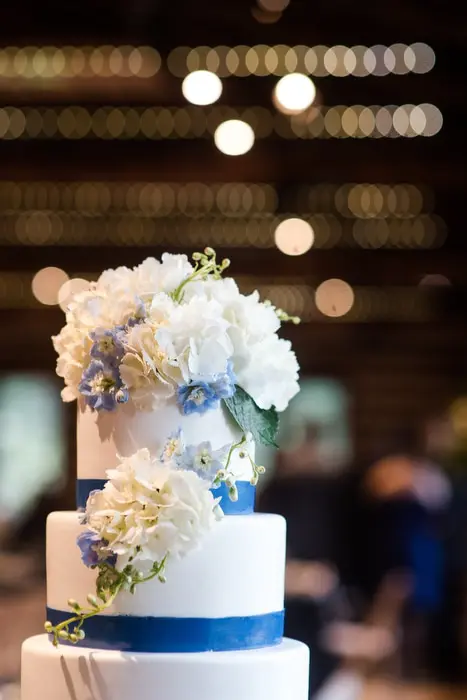 cake detail portrait