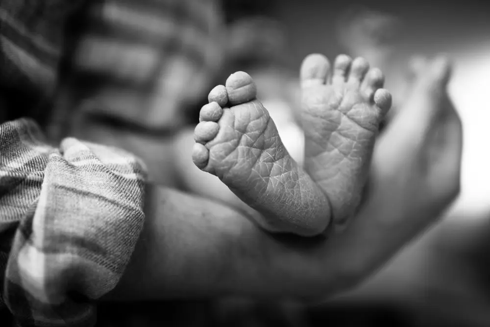 newborn portraits denver