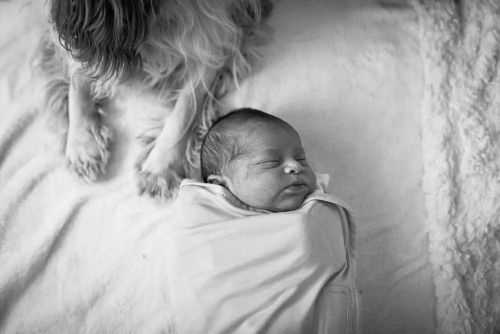 newborn portraits with a dog
