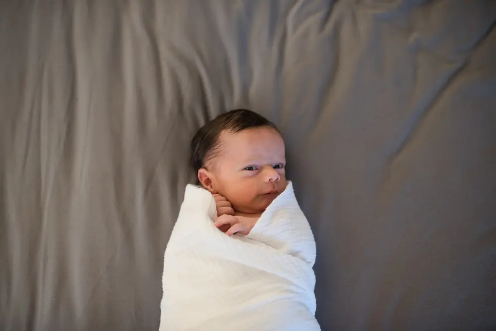 denver newborn pictures