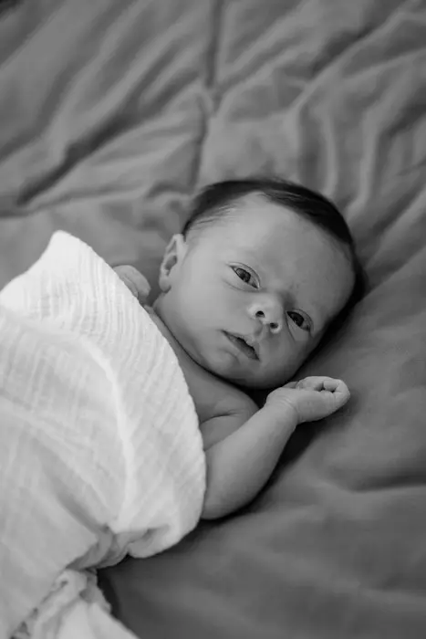 newborn portrait denver