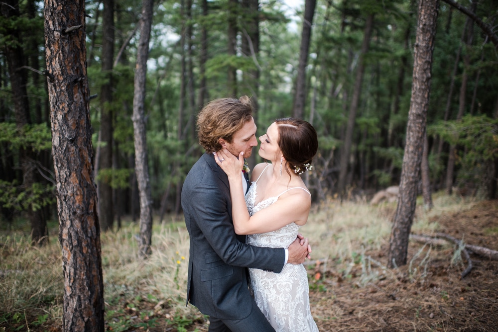 Wedding portrait at Artist's Point