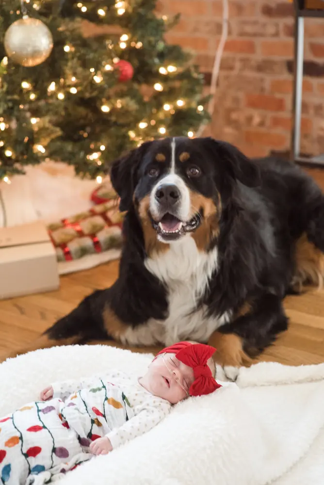 newborn baby with dog
