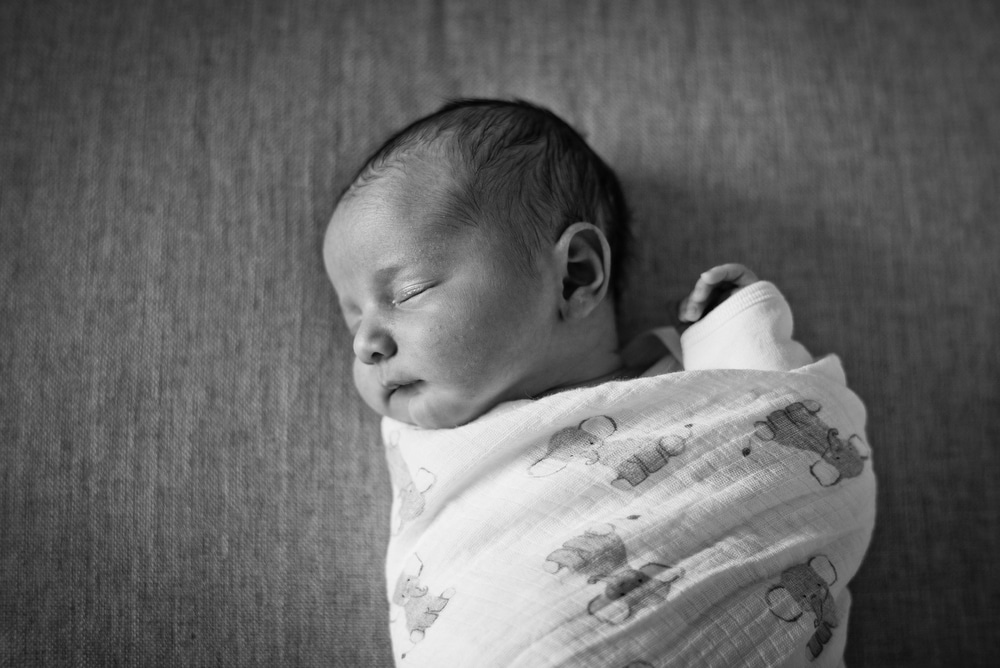 Denver newborn portraits