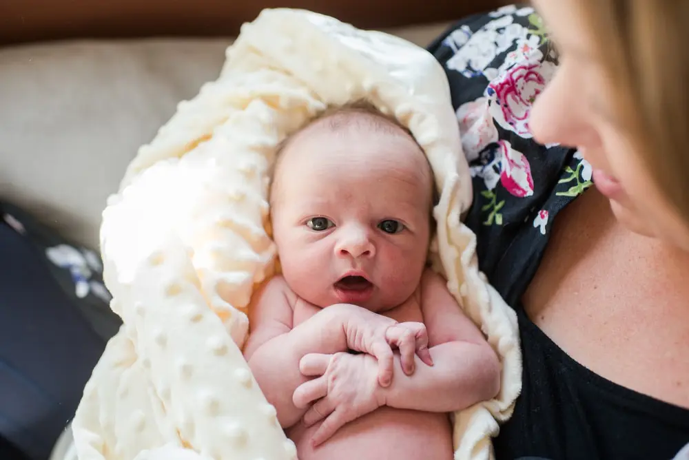 denver newborn photographer