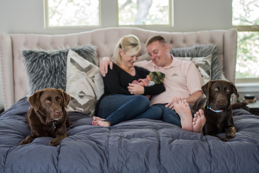 newborn portraits with dogs in denver