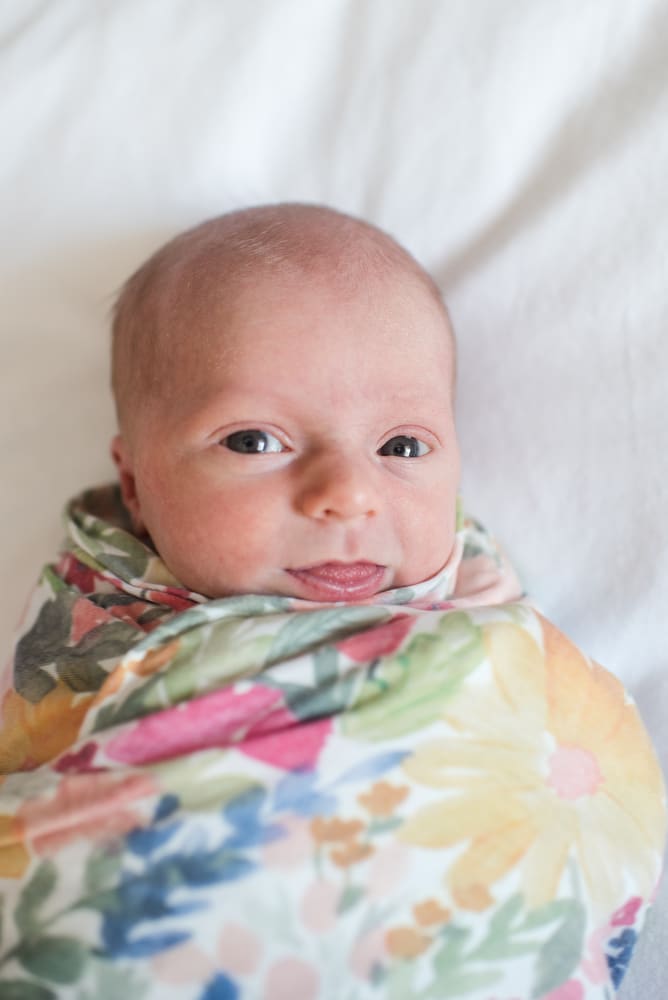 newborn portraits Denver