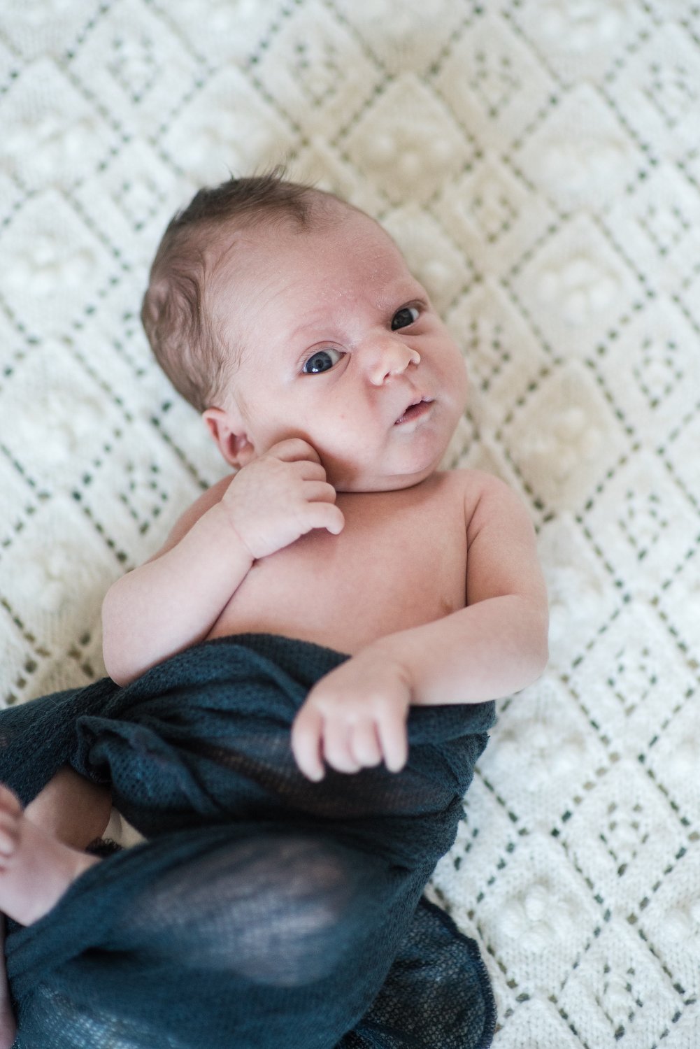 at home newborn portrait of a baby boy