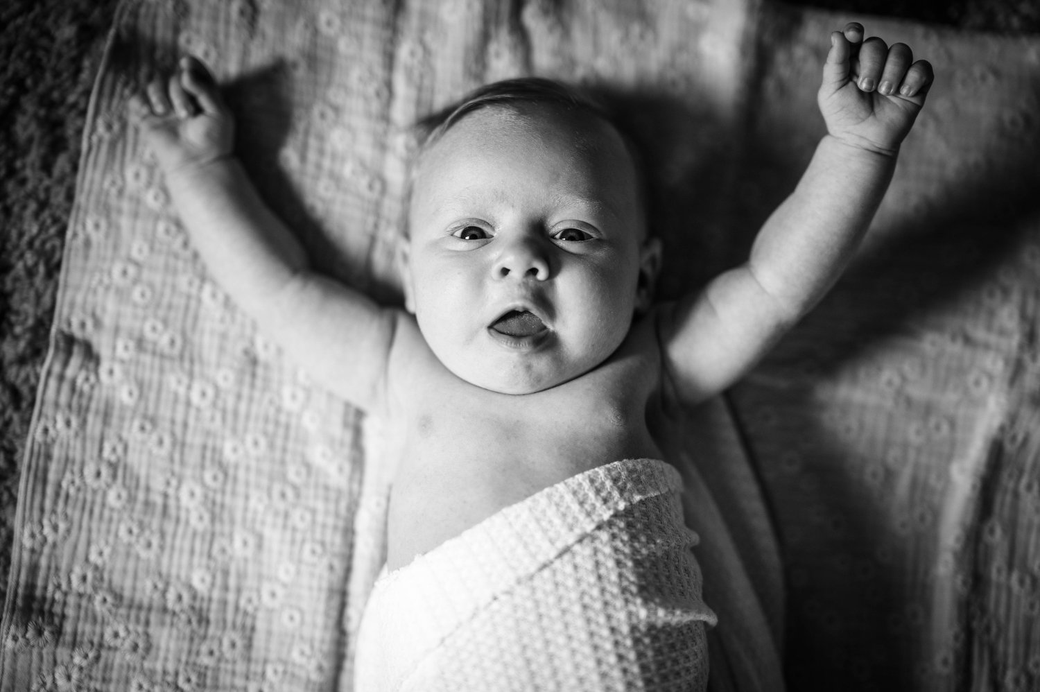 black and white newborn portrait