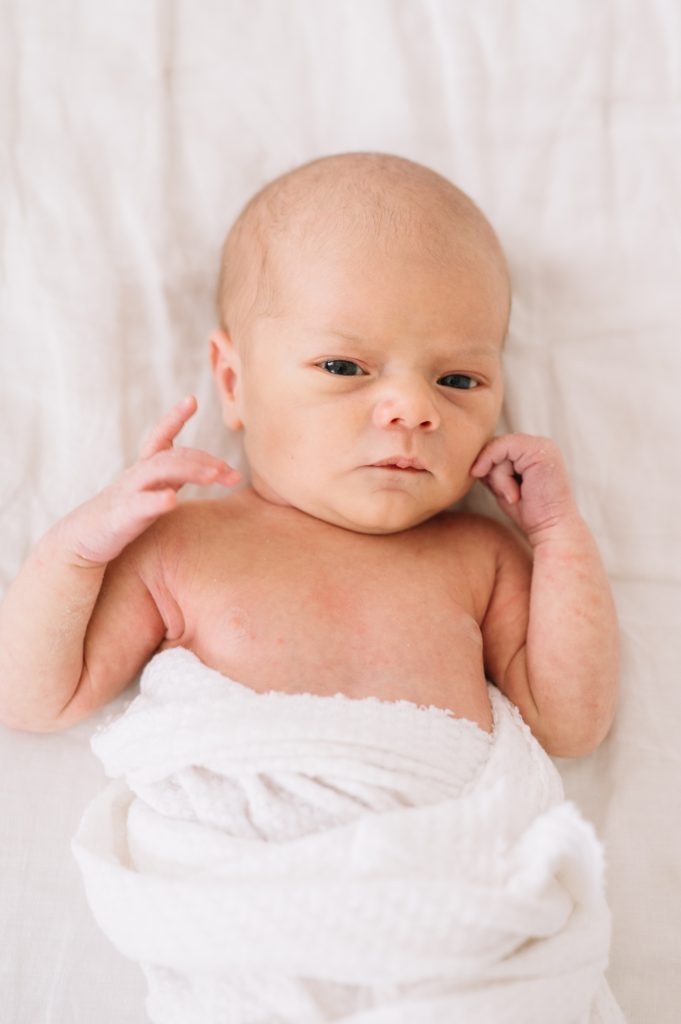 newborn portrait of a baby boy in Denver