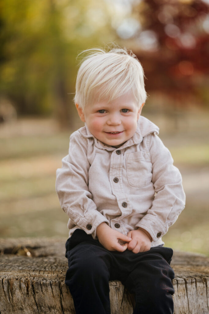 A little boy sits on a tree trunk with colorful trees in the background.